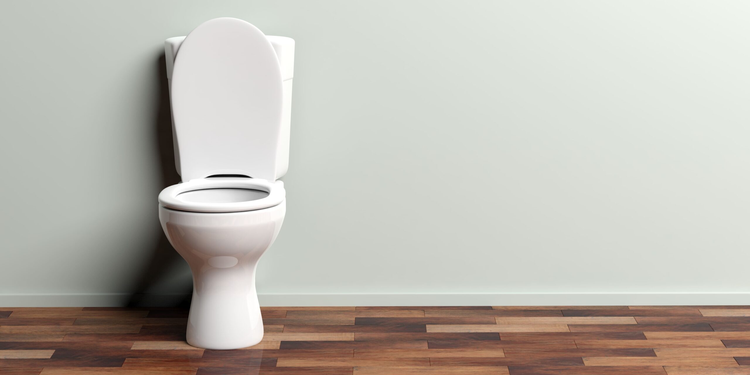 Guía completa para elegir el toilet perfecto en Chile