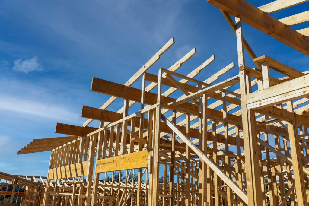 Descubre las características, usos y técnicas para trabajar con madera verde en tus proyectos de construcción y carpintería en Construmart.cl