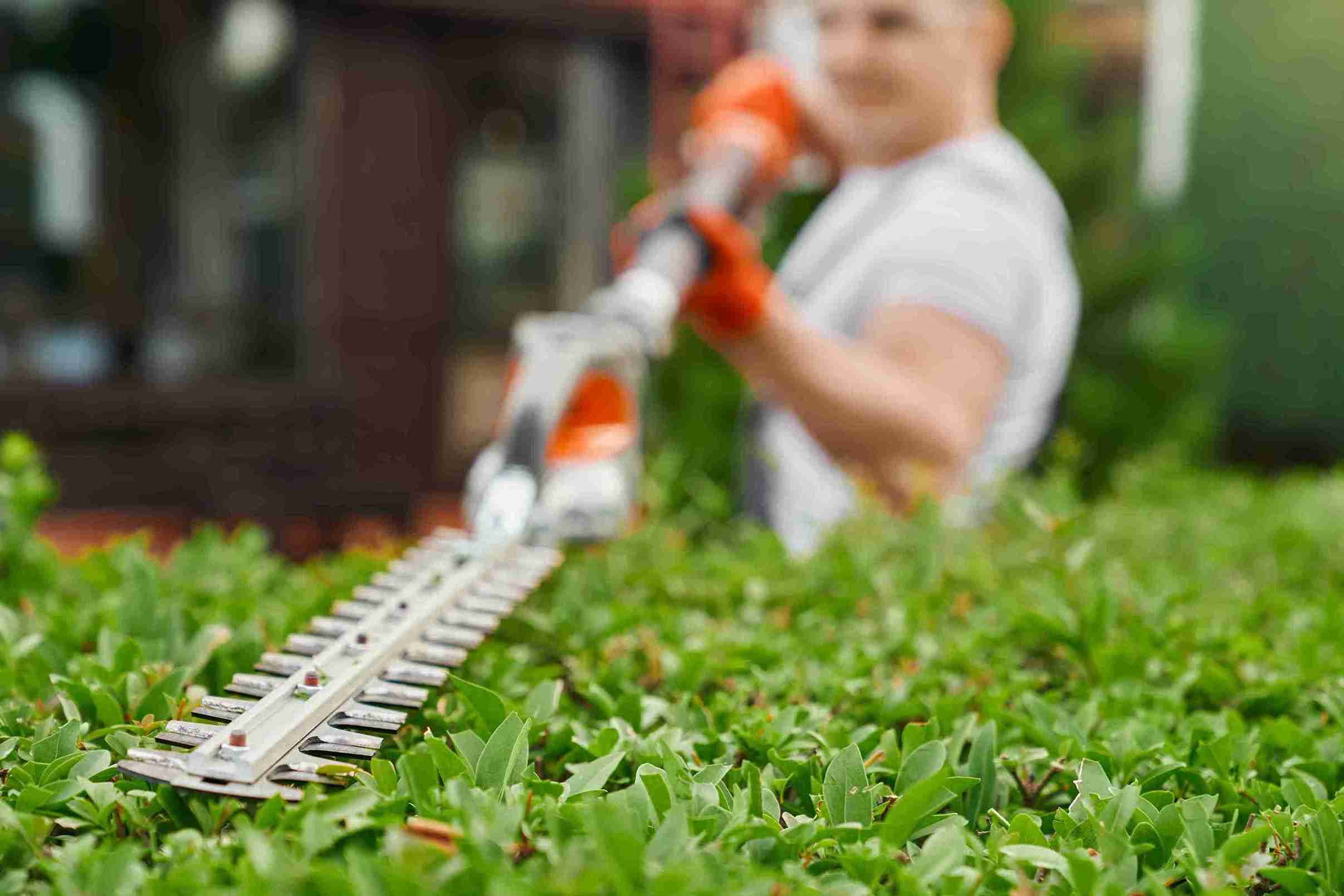 Multifuncionales de jardín: la herramienta todo en uno para tu jardín